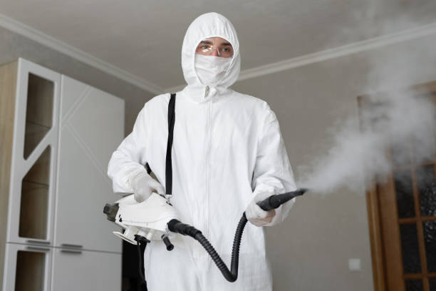 Why You Should Choose Our Mold Remediation Services in Newark, OH